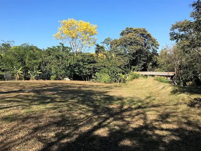 Ocean View Property in Montezuma photo 11