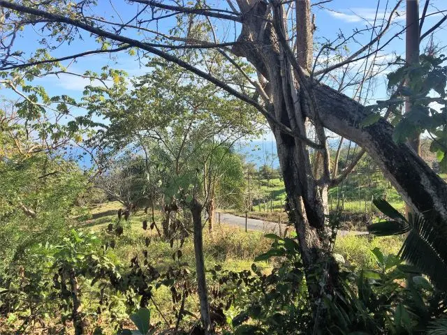 Ocean View Property in Montezuma photo 4
