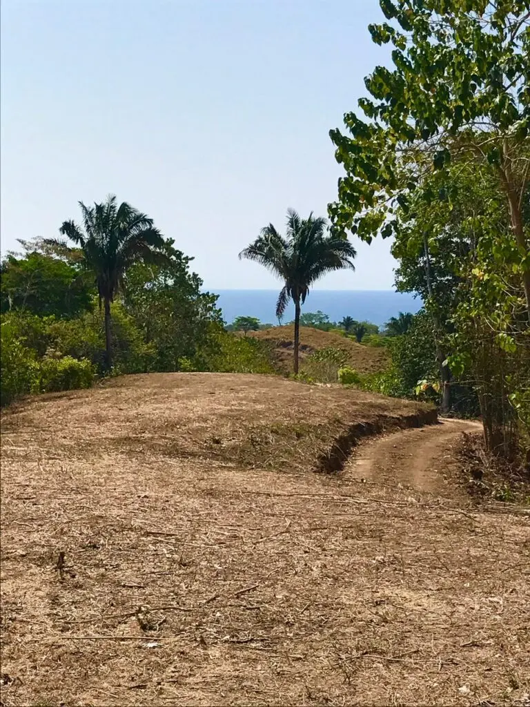 Ocean View Lot in Montezuma photo 2