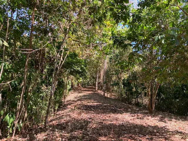 Ocean View Lot in Montezuma photo 7