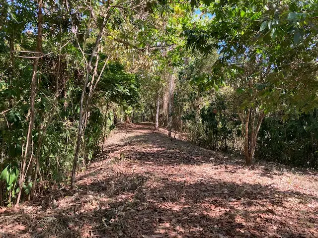 Ocean View Lot in Montezuma photo 8