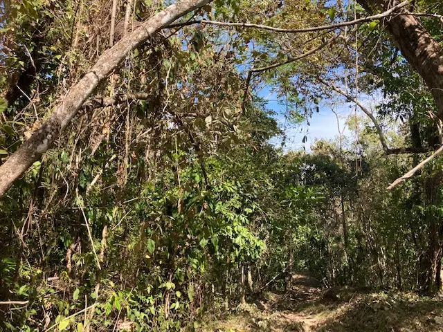 Ocean View Lot in Montezuma photo 11