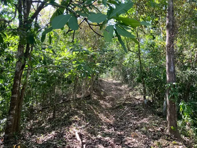Ocean View Lot in Montezuma photo 9