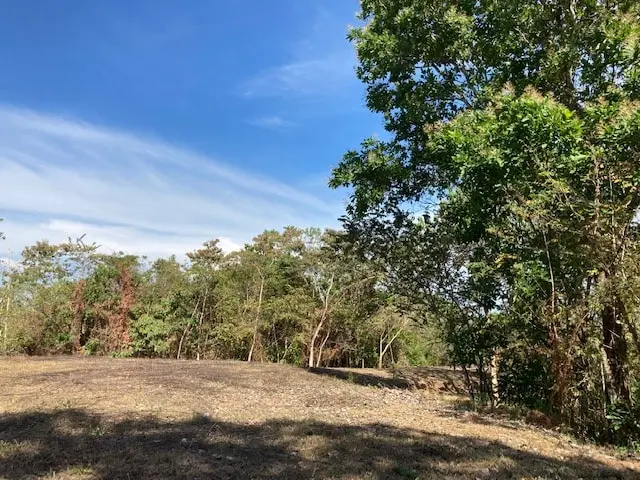 Ocean View Lot in Montezuma photo 5