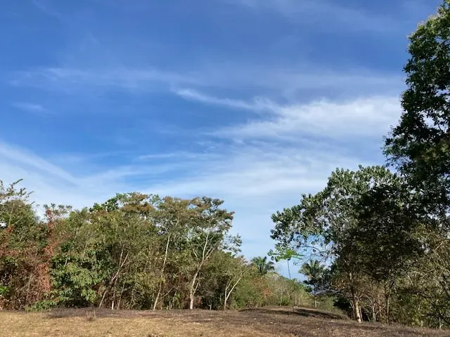 Ocean View Lot in Montezuma photo 6