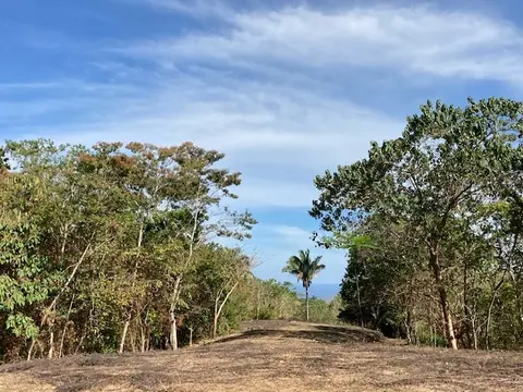 Secluded 3.7-Acre Ocean-View Lot near Montezuma in Montezuma, Costa Rica