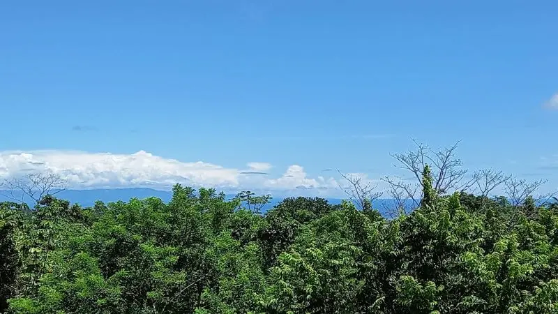 Hilltop Paradise Homes photo 26