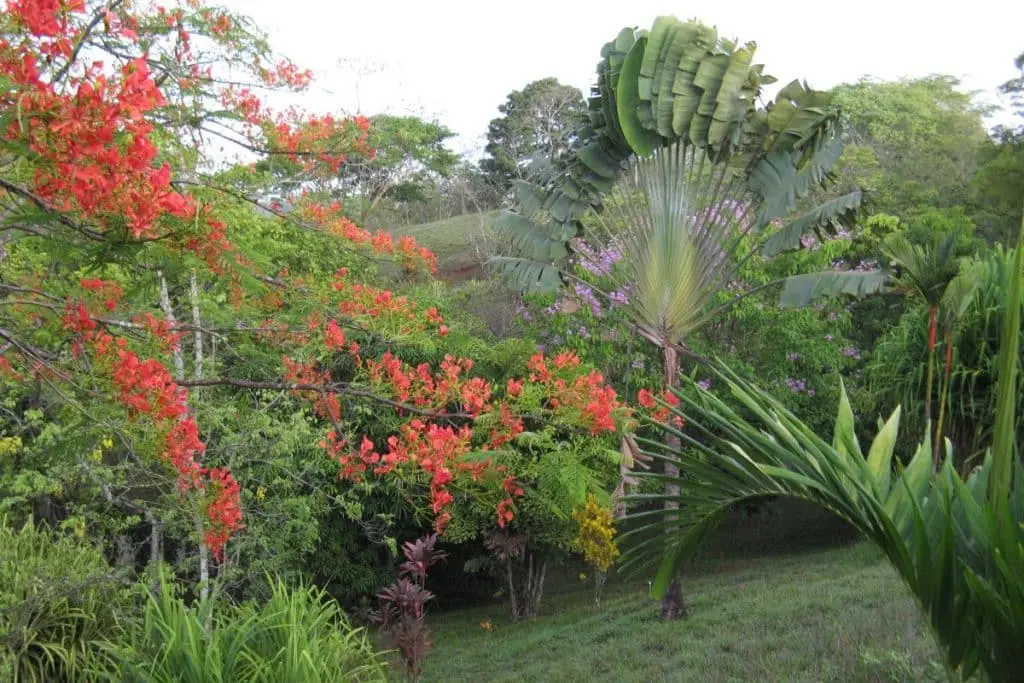 Boutique Hotel in Montezuma photo 21