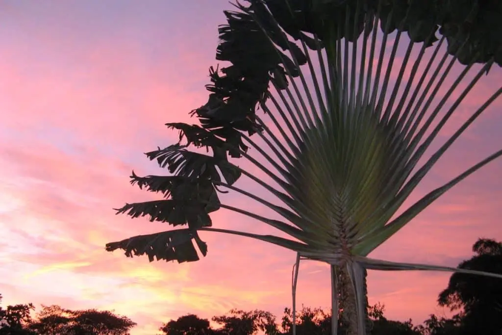 Boutique Hotel in Montezuma photo 23