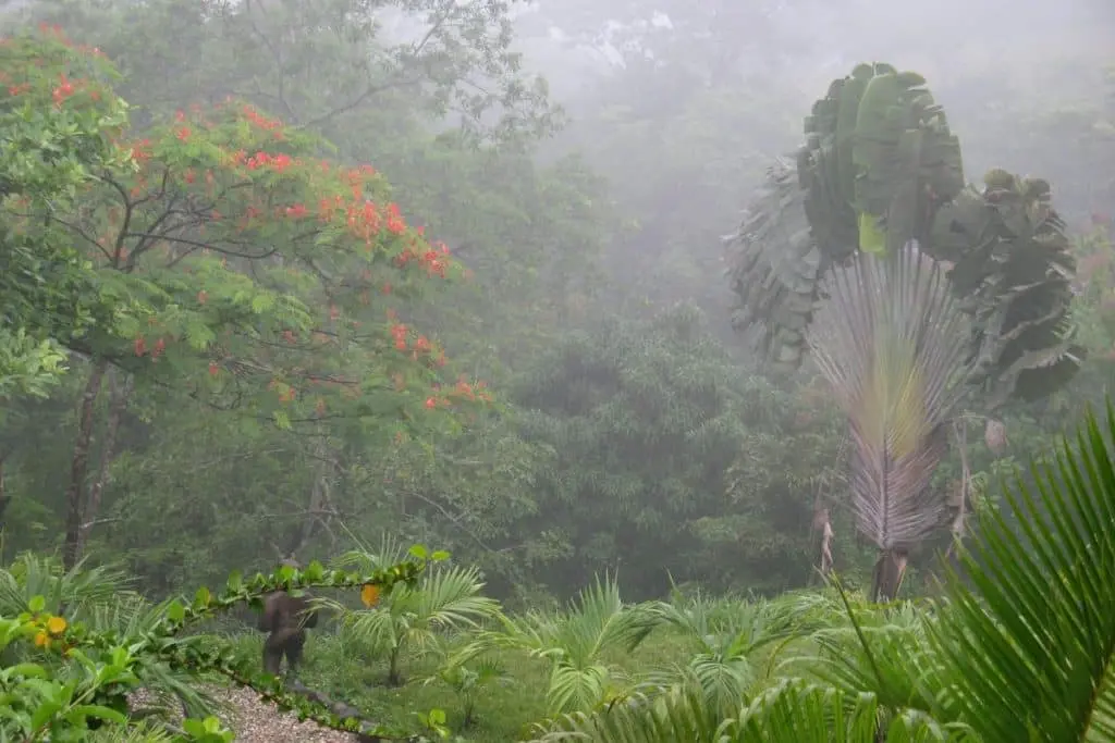 Boutique Hotel in Montezuma photo 22