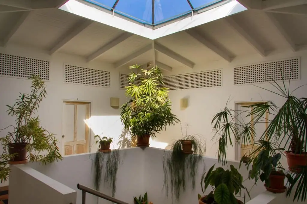 Boutique Hotel in Montezuma photo 9