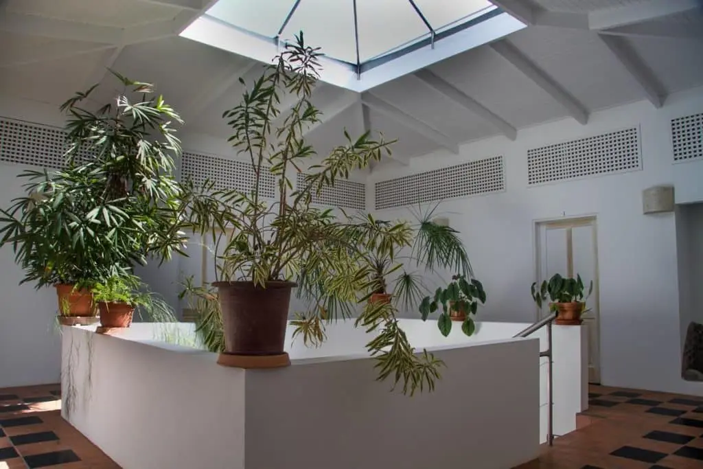 Boutique Hotel in Montezuma photo 10