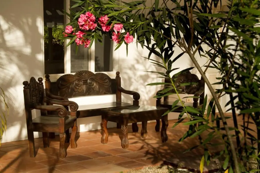 Boutique Hotel in Montezuma photo 11