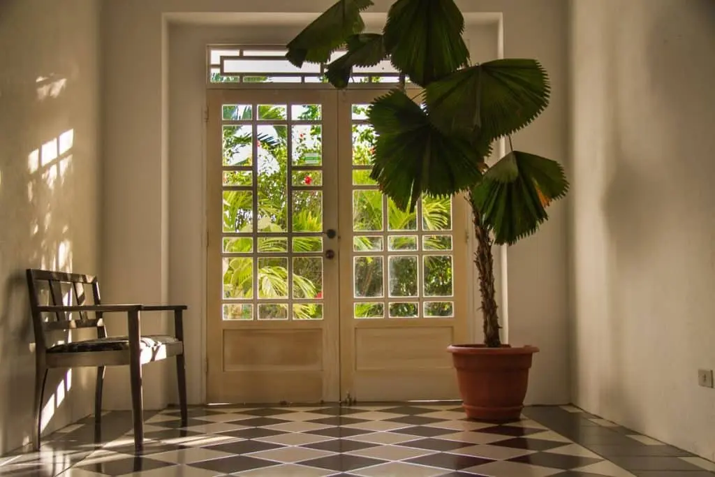 Boutique Hotel in Montezuma photo 8