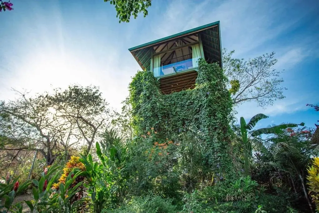 Luxury Boutique Hotel in Montezuma photo 13