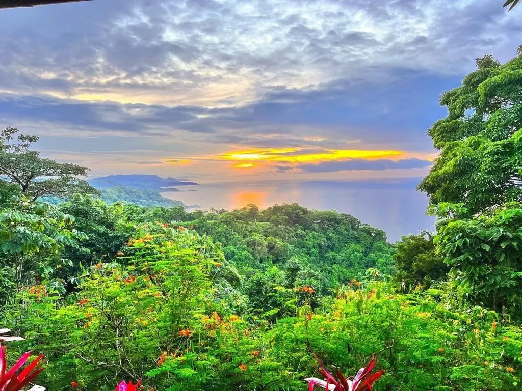 Luxury Boutique Hotel in Montezuma photo 38