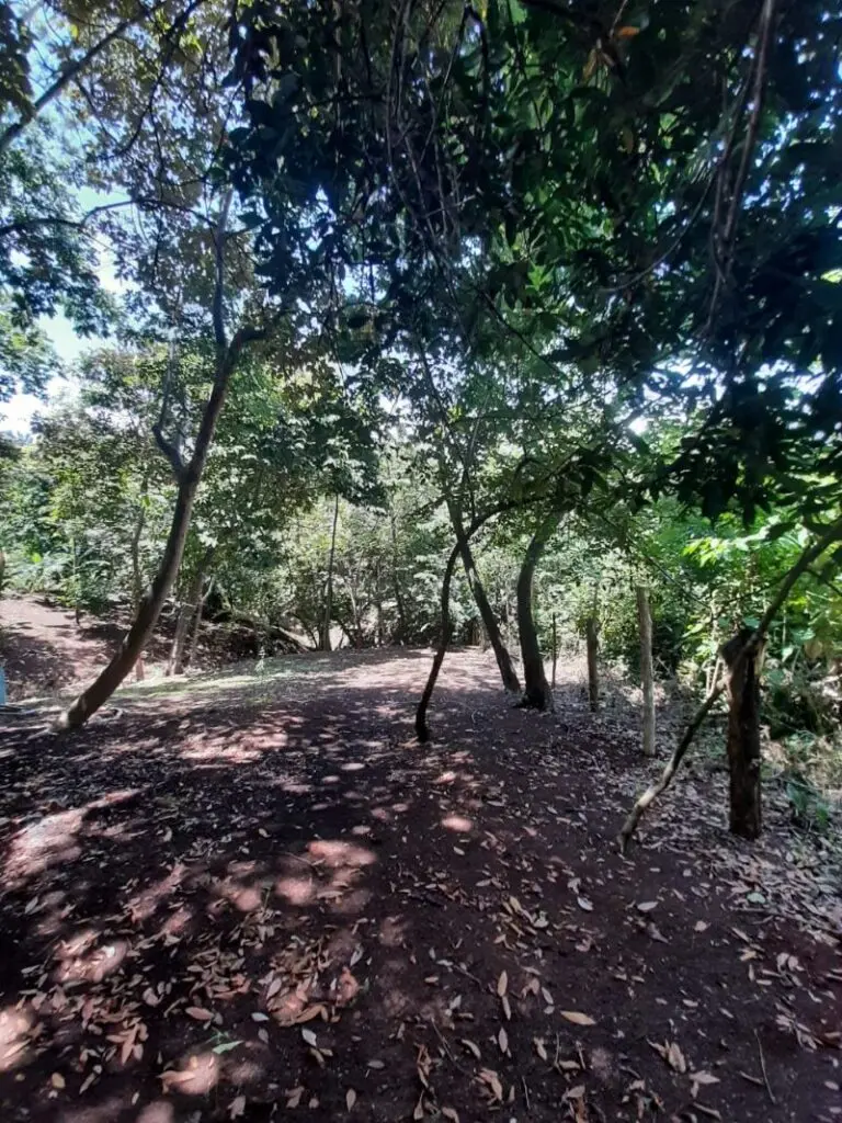 Prime Commercial Lot in Montezuma photo 12