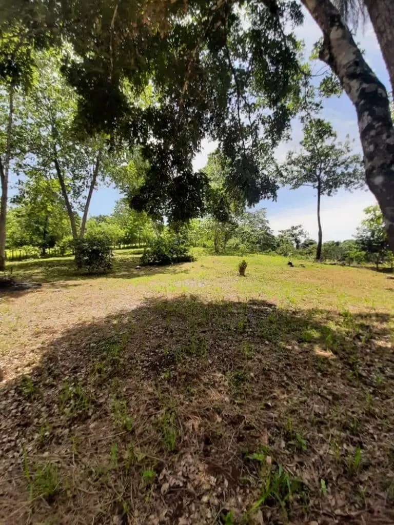Prime Commercial Lot in Montezuma photo 11