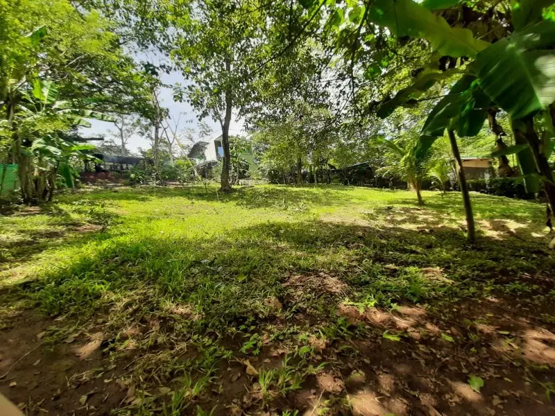 Prime Commercial Lot in Montezuma photo 10