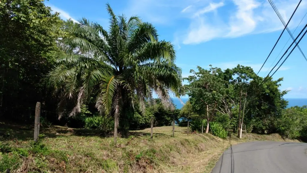Ocean View Lot in Montezuma photo 7