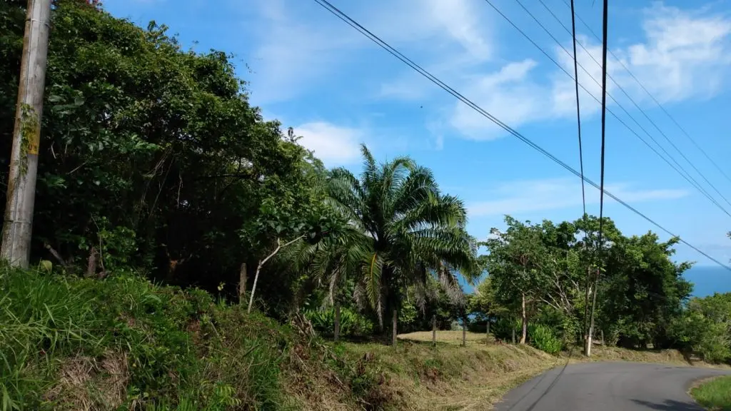 Ocean View Lot in Montezuma photo 9