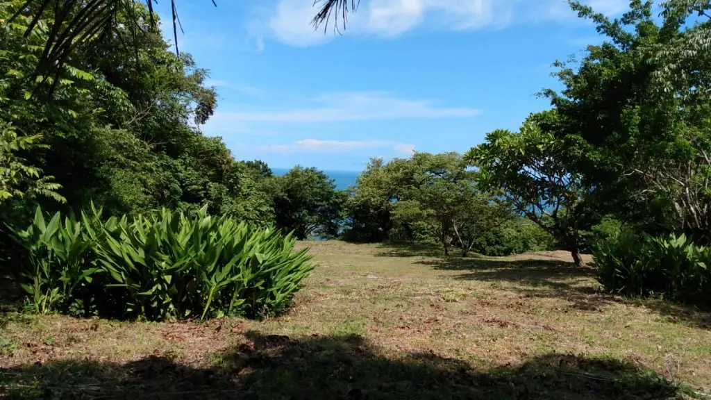 Ocean View Lot in Montezuma photo 5