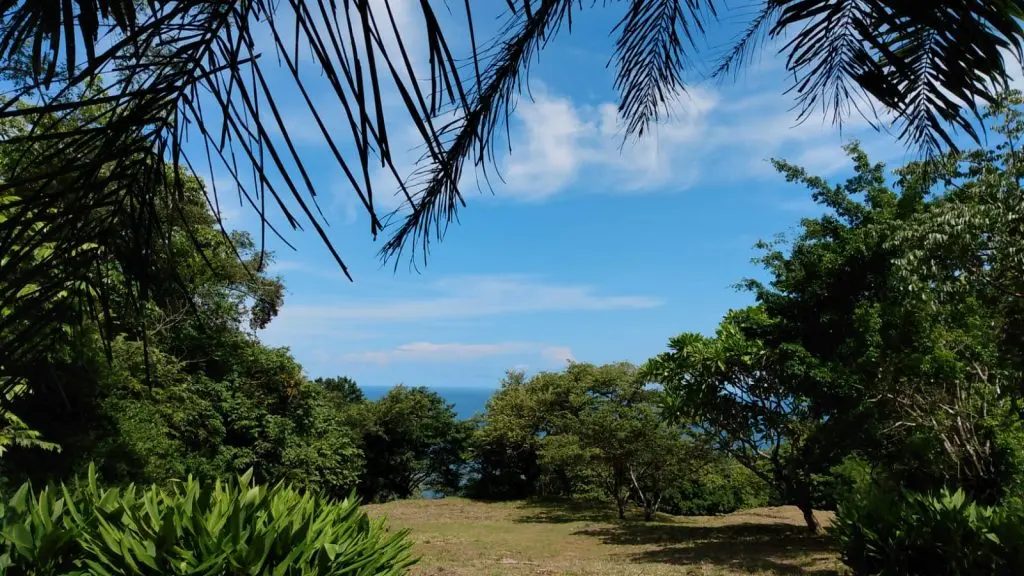 Ocean View Lot in Montezuma photo 3