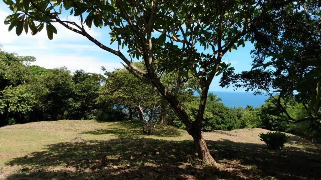 Ocean View Lot in Montezuma photo 4