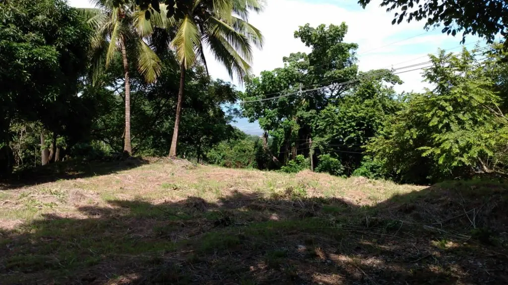 Ocean View Lot in Montezuma photo 12