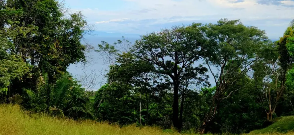 Ocean View Lot in Montezuma photo 13