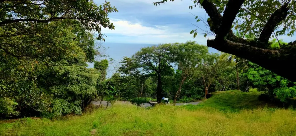Ocean View Lot in Montezuma photo 15