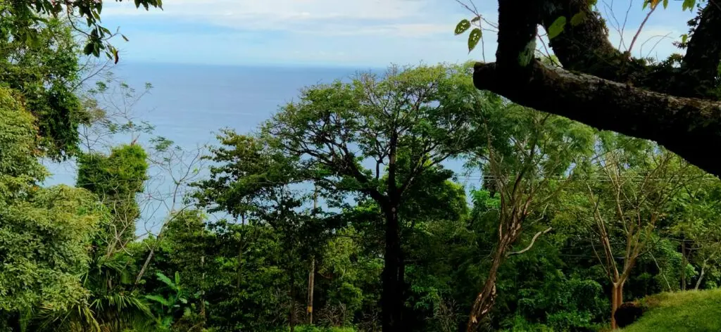 Ocean View Lot in Montezuma photo 14