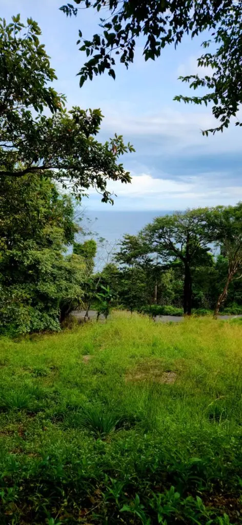 Ocean View Lot in Montezuma photo 17