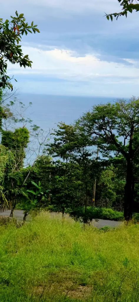 Ocean View Lot in Montezuma photo 16