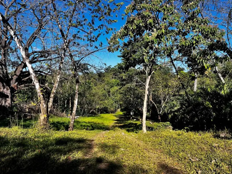 Montezuma Jungle Retreat photo 10