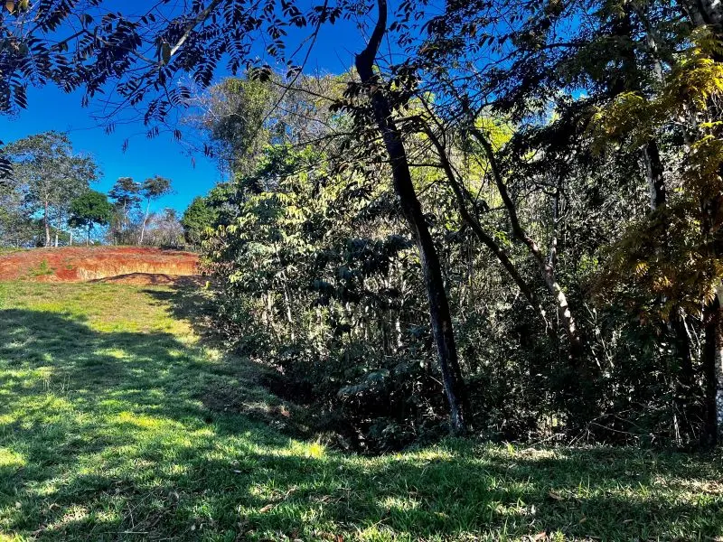 Montezuma Jungle Retreat photo 11