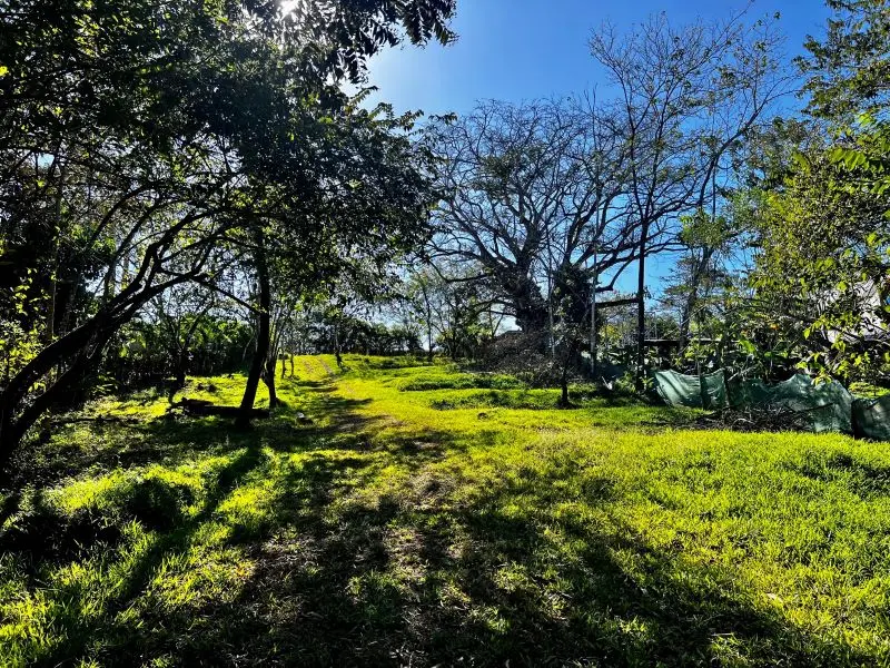 Montezuma Jungle Retreat photo 2