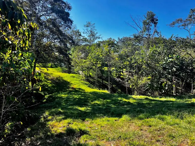 Montezuma Jungle Retreat photo 3