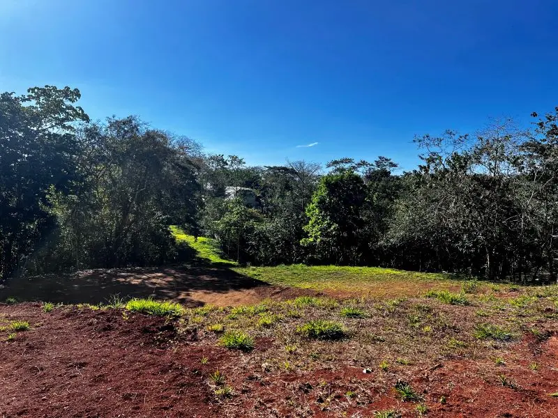 Montezuma Jungle Retreat photo 15