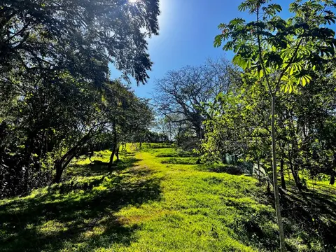 Montezuma Jungle Retreat in Montezuma, Costa Rica