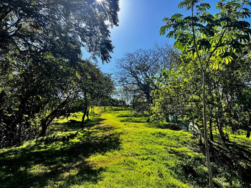 Montezuma Jungle Retreat photo 1