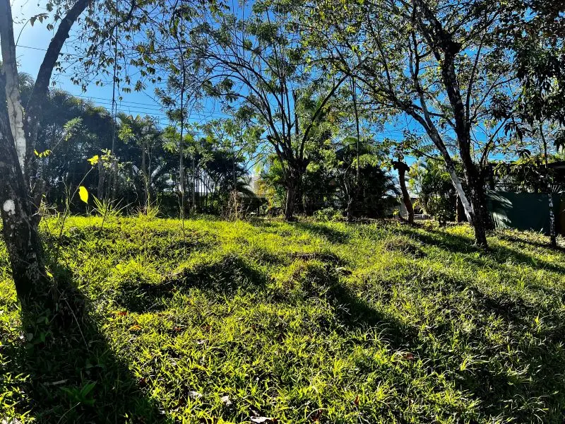 Montezuma Jungle Retreat photo 8