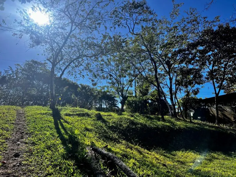 Montezuma Jungle Retreat photo 9