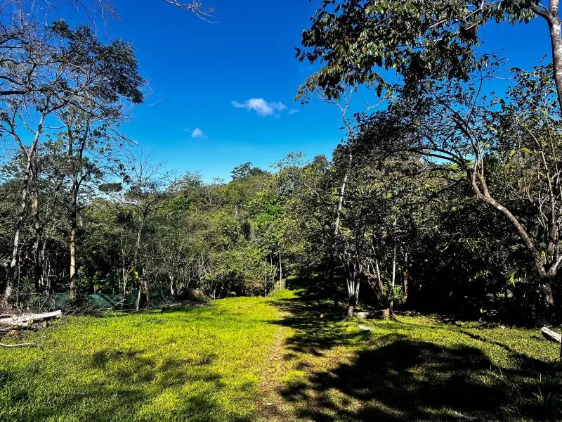 Montezuma Jungle Retreat photo 6
