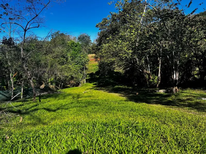 Montezuma Jungle Retreat photo 7