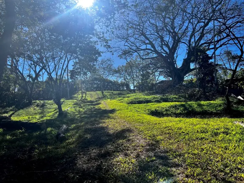 Montezuma Jungle Retreat photo 4