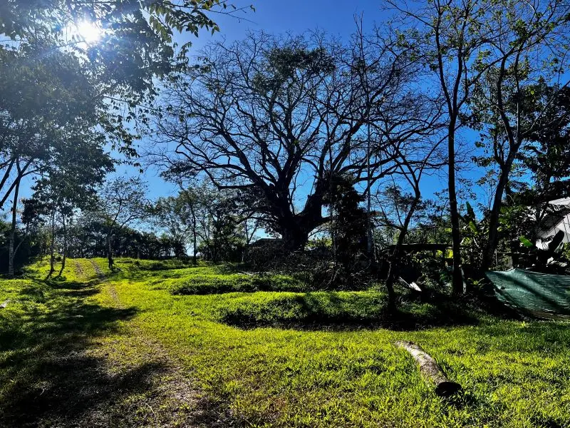 Montezuma Jungle Retreat photo 5