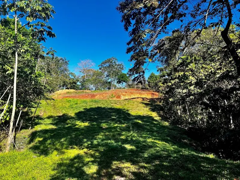 Montezuma Jungle Retreat photo 14