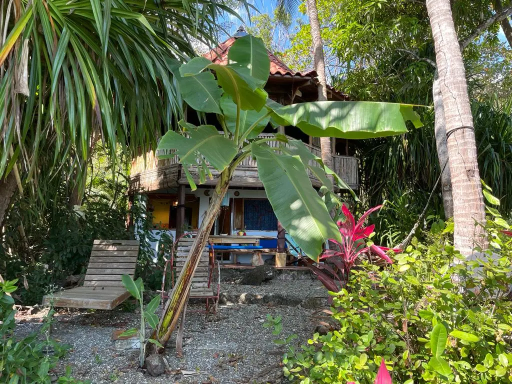 Beachfront Paradise Home photo 4