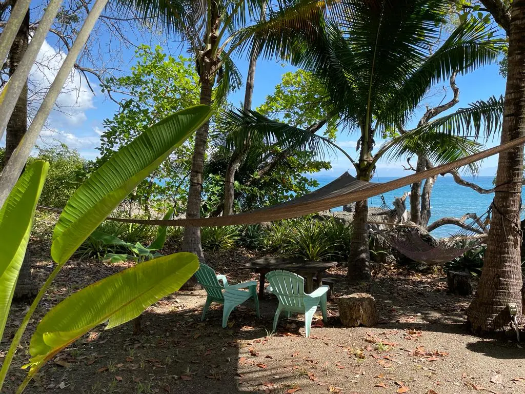 Beachfront Paradise Home photo 7